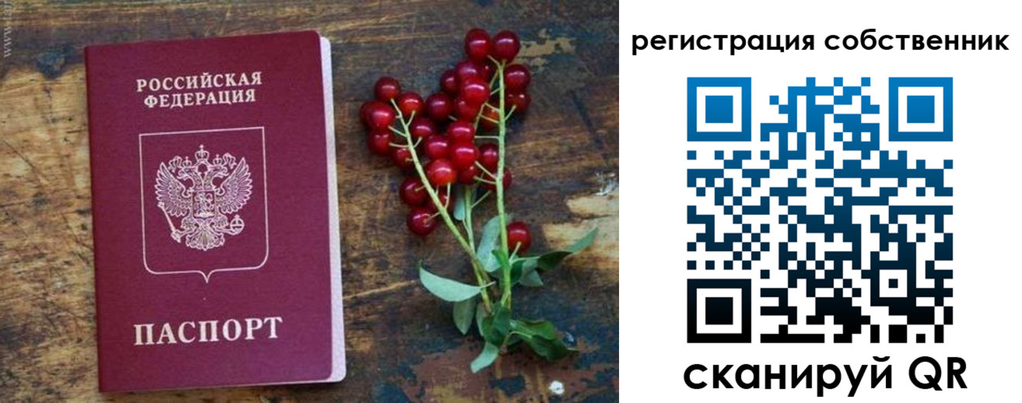 регистрация для дет. сада в Сасово